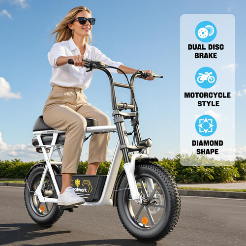 1500W Electric Scooter with Seat D894039