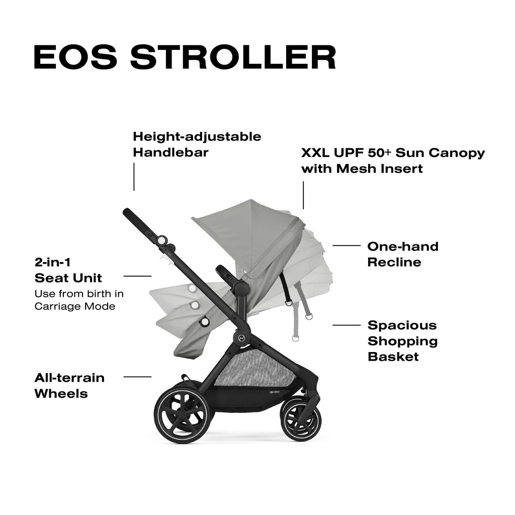 2-in-1 Baby Stroller A14719