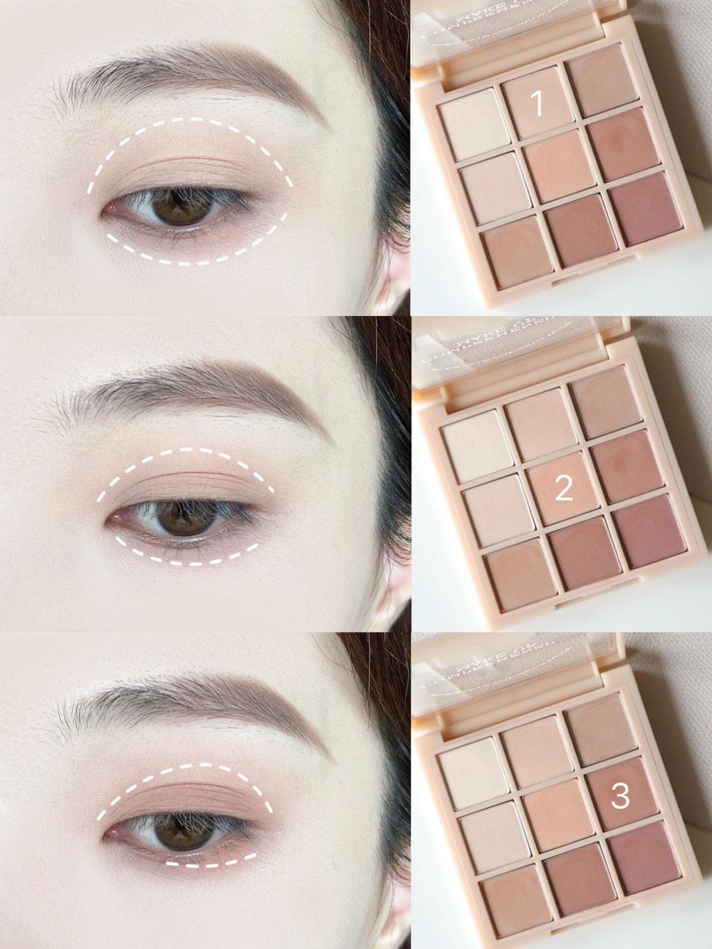Matte Neutral Eyeshadow Palette F17085