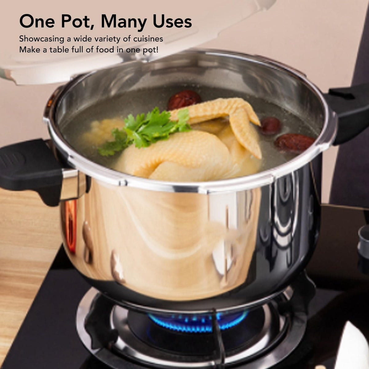 Stainless Steel 3L Pressure Cooker D6874