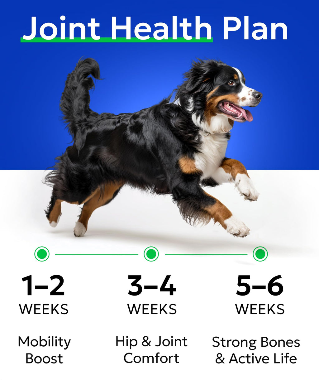 Glucosamine Chondroitin Hip Joint Supplement Chew A995275