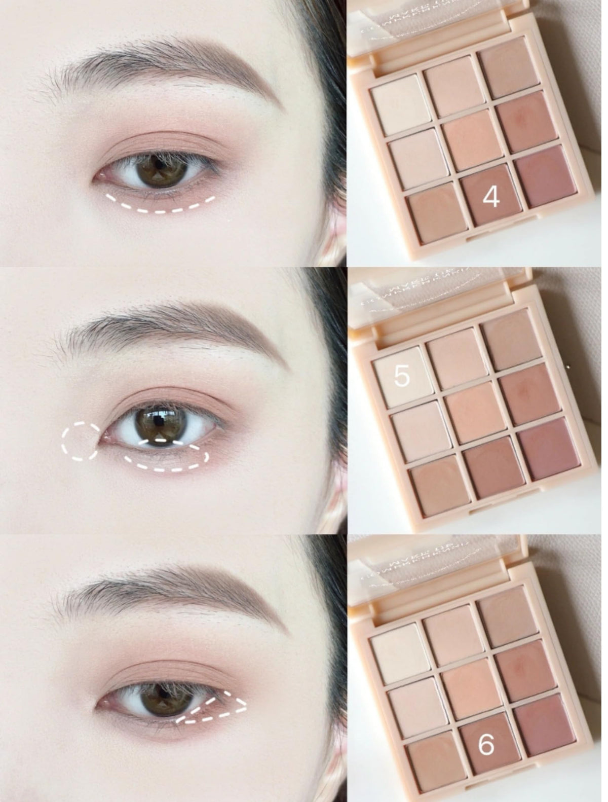 Matte Neutral Eyeshadow Palette F17085