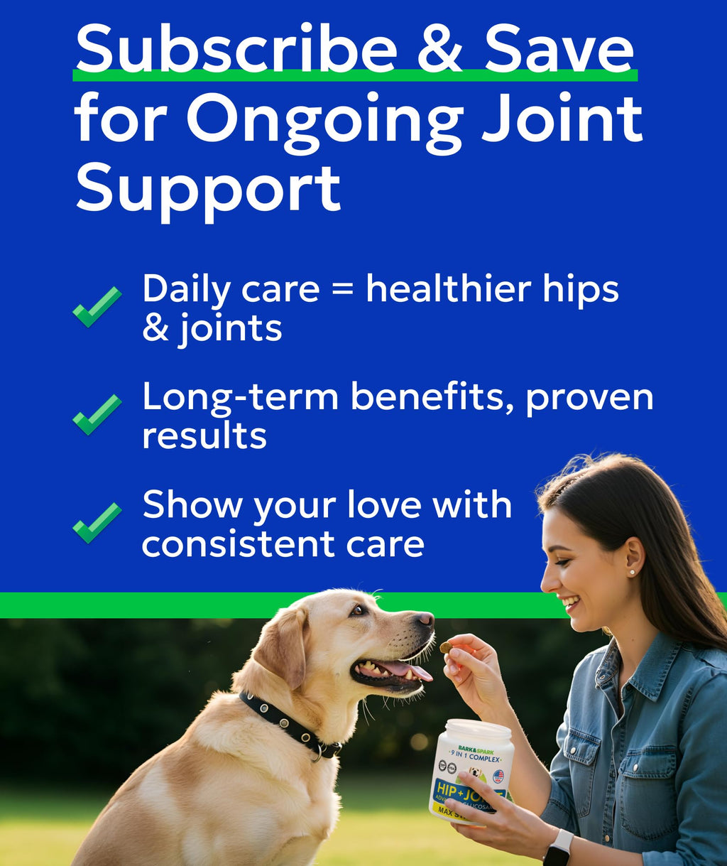Glucosamine Chondroitin Hip Joint Supplement Chew A995275