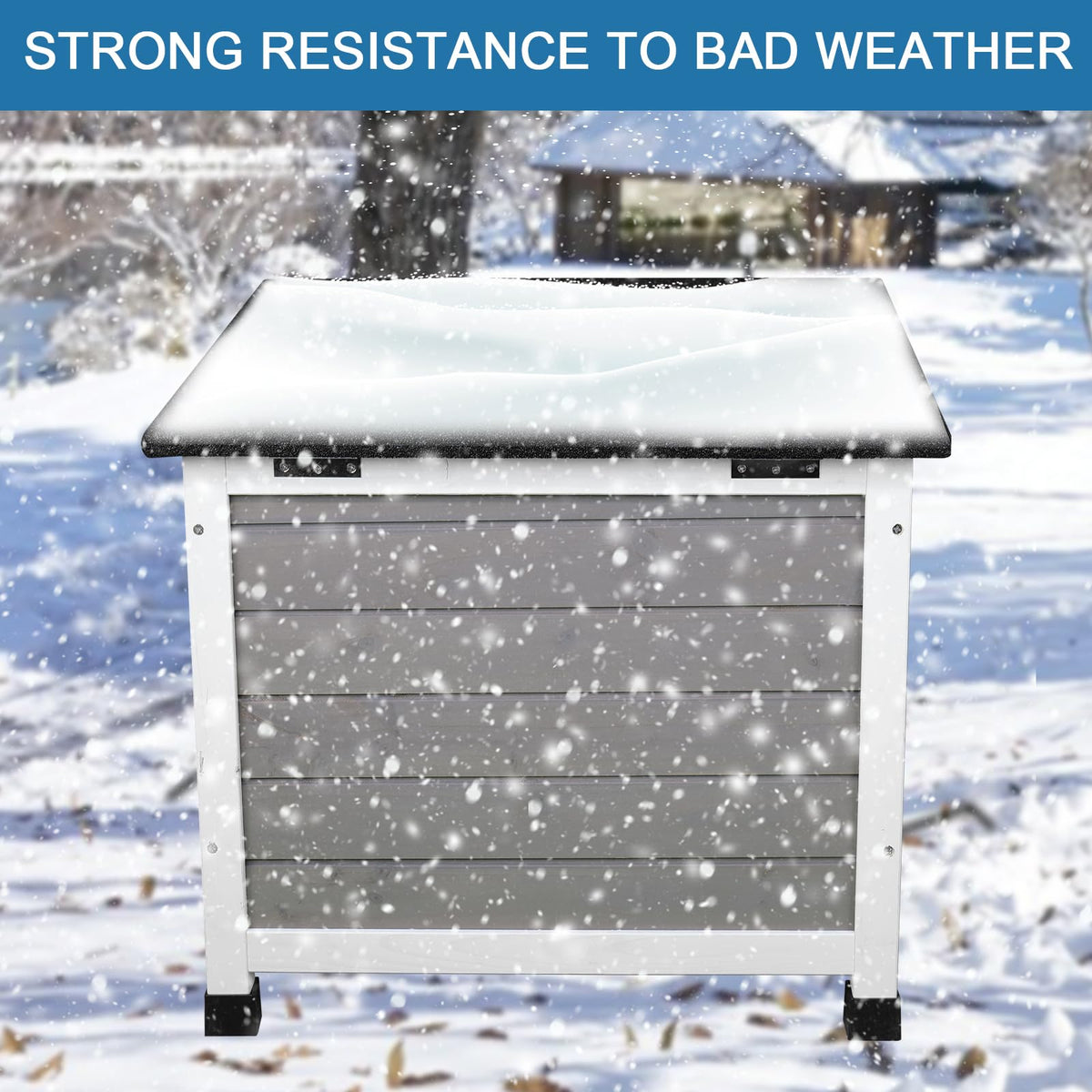 Insulated Weatherproof Outdoor Cat House D6724