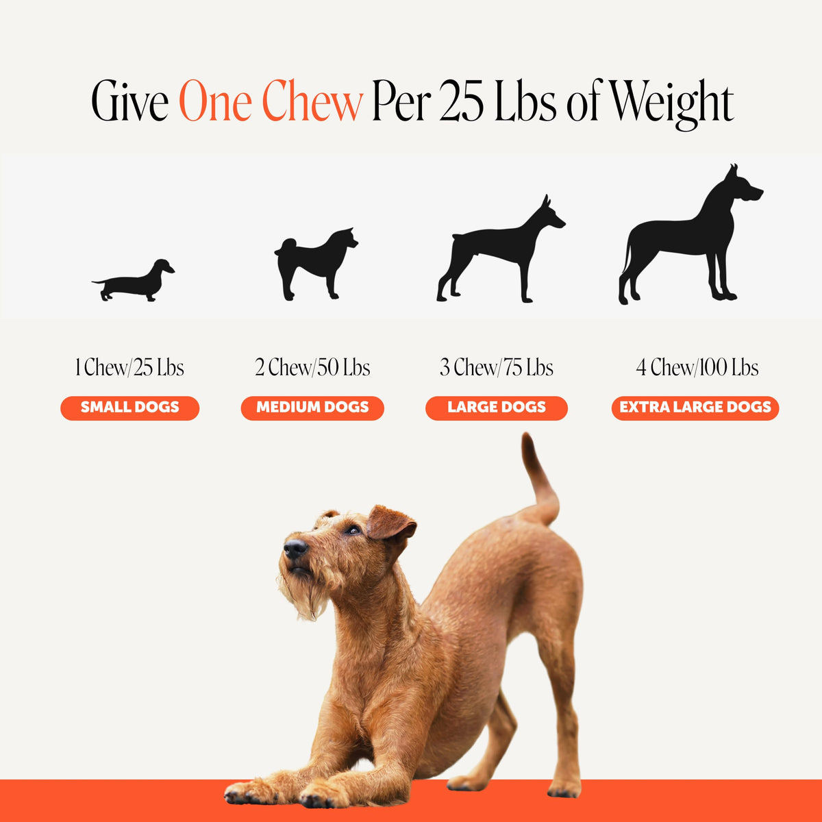 90 Count Hip and Joint Supplement for Dogs X895