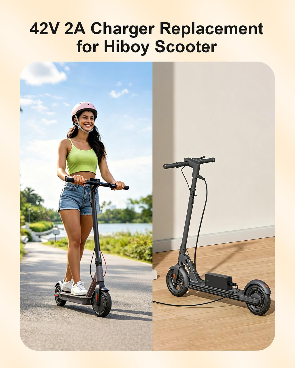 42V Electric Scooter Charger I80185
