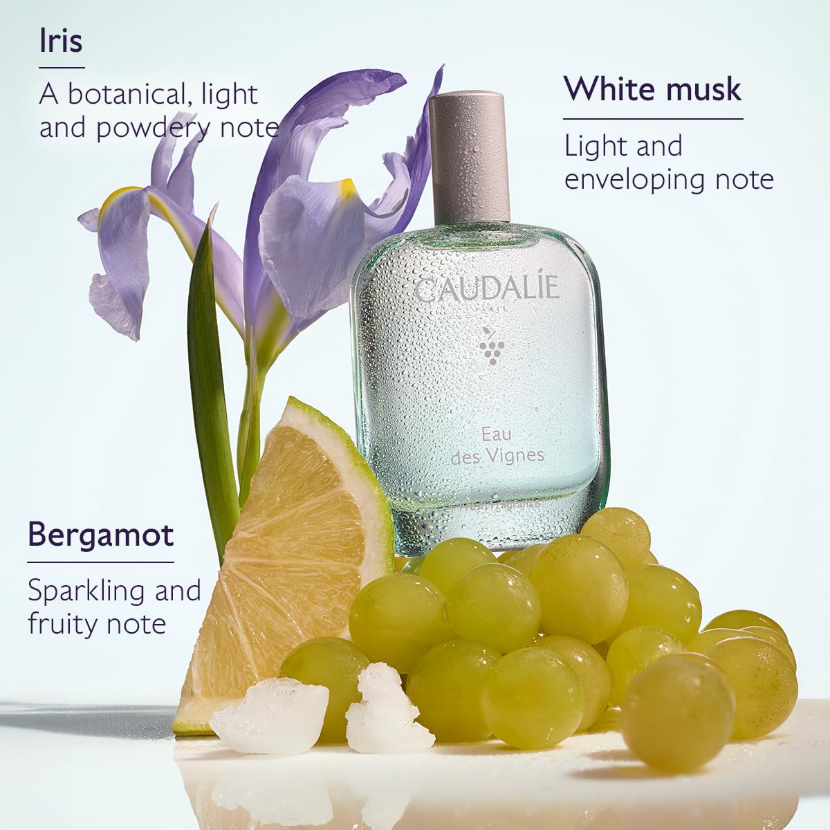 Fresh Fragrance 50 mL Y63552