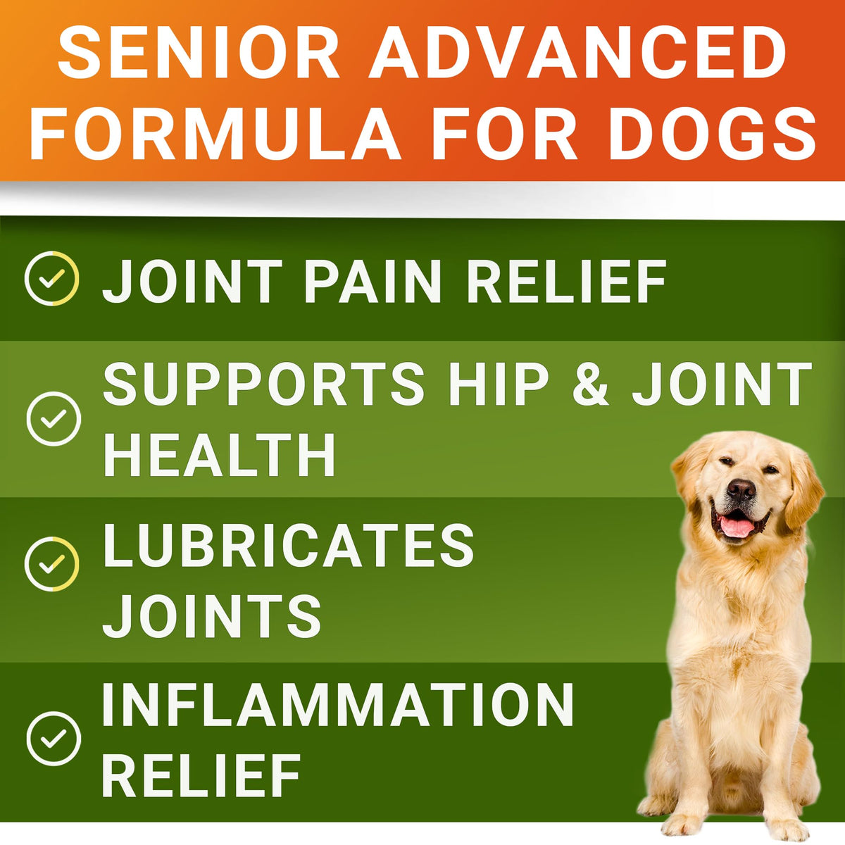 Glucosamine Chondroitin Joint Support W645