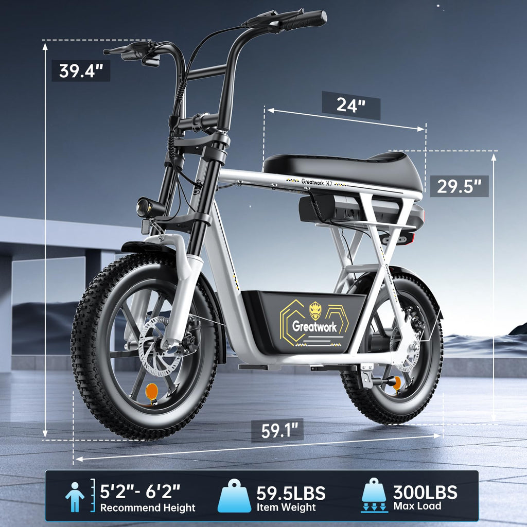 1500W Electric Scooter with Seat D894039
