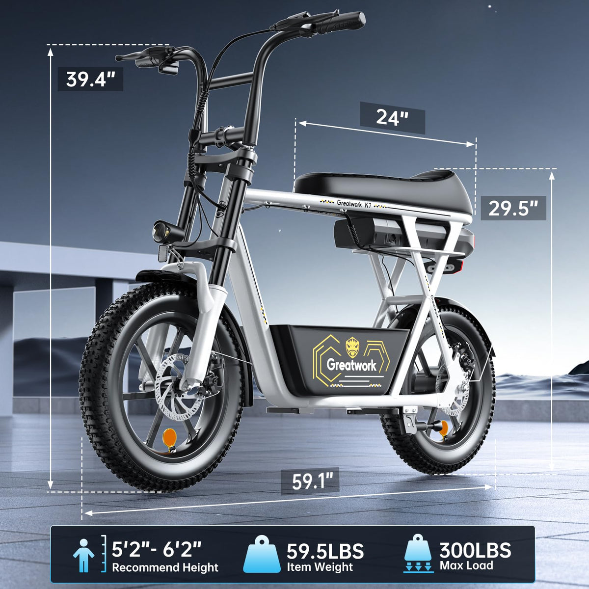 1500W Electric Scooter with Seat D894039