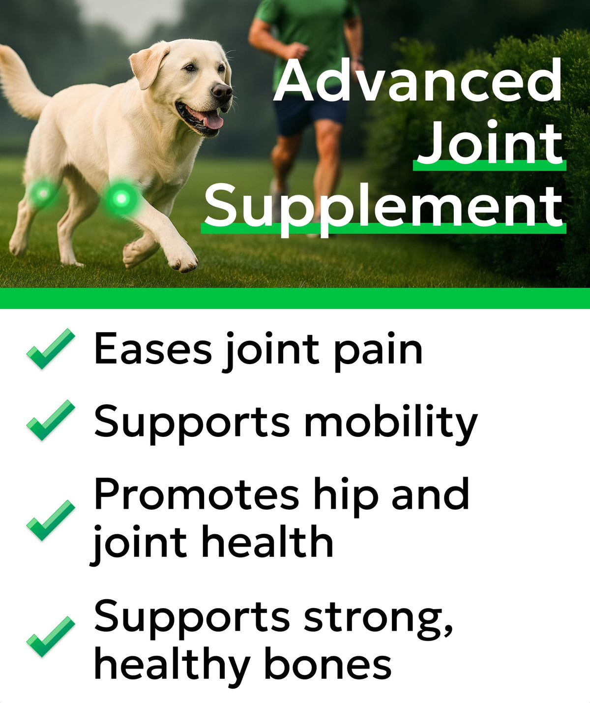 Glucosamine Chondroitin Hip Joint Supplement Chew A995275