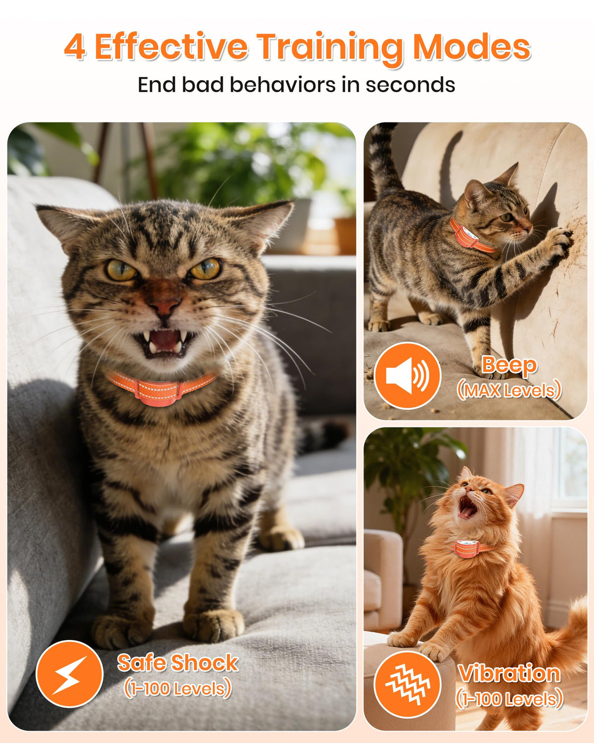 Lightweight Waterproof Cat Training Collar with Remote N32375