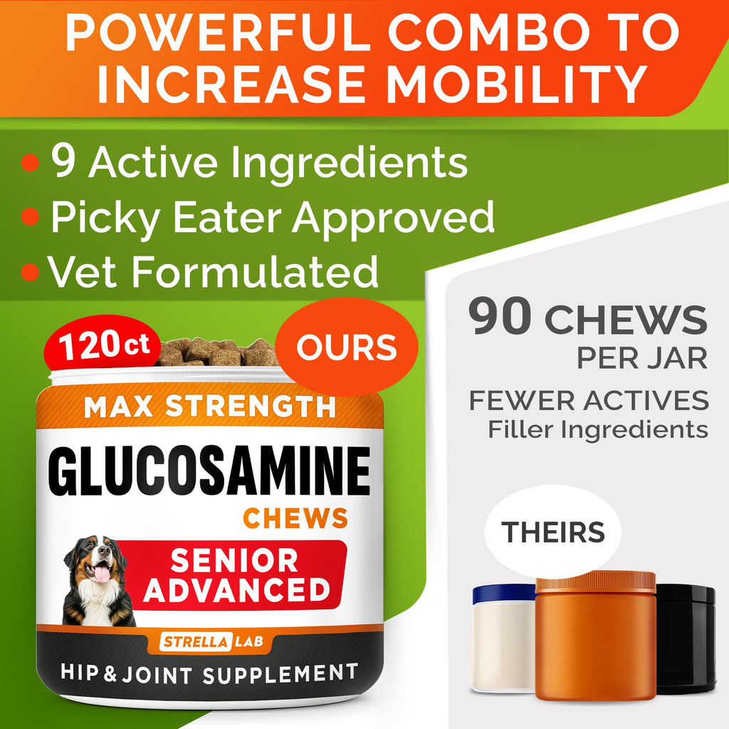 Glucosamine Chondroitin Joint Support W645