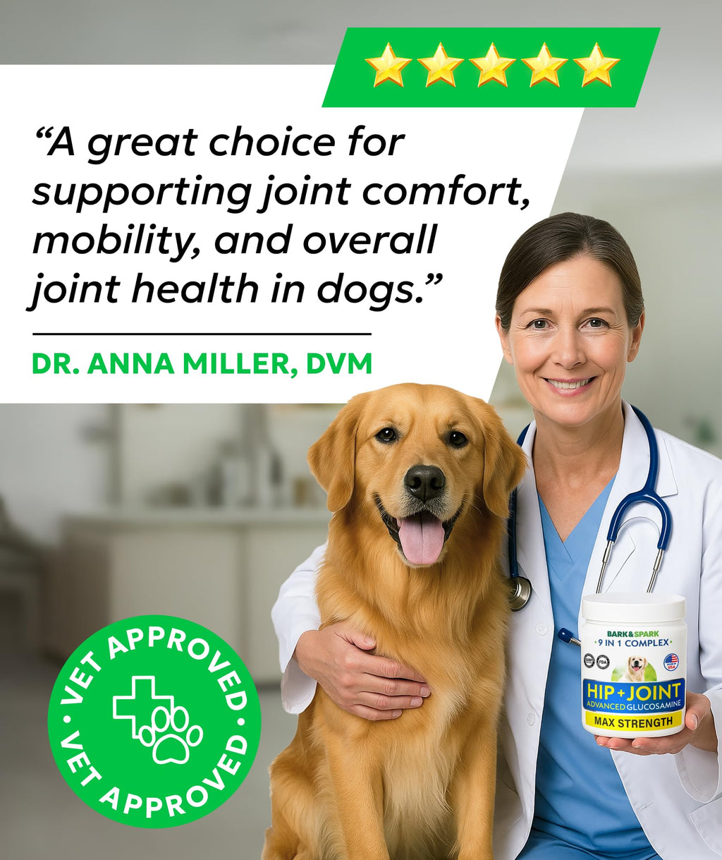 Glucosamine Chondroitin Hip Joint Supplement Chew A995275