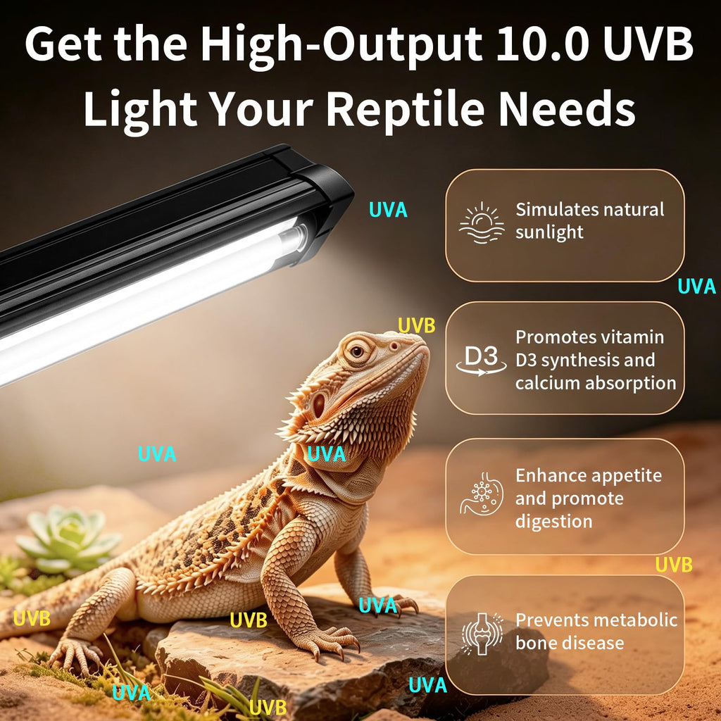 8W UVB Reptile Light Fixture Combo Kit with Timer D47218