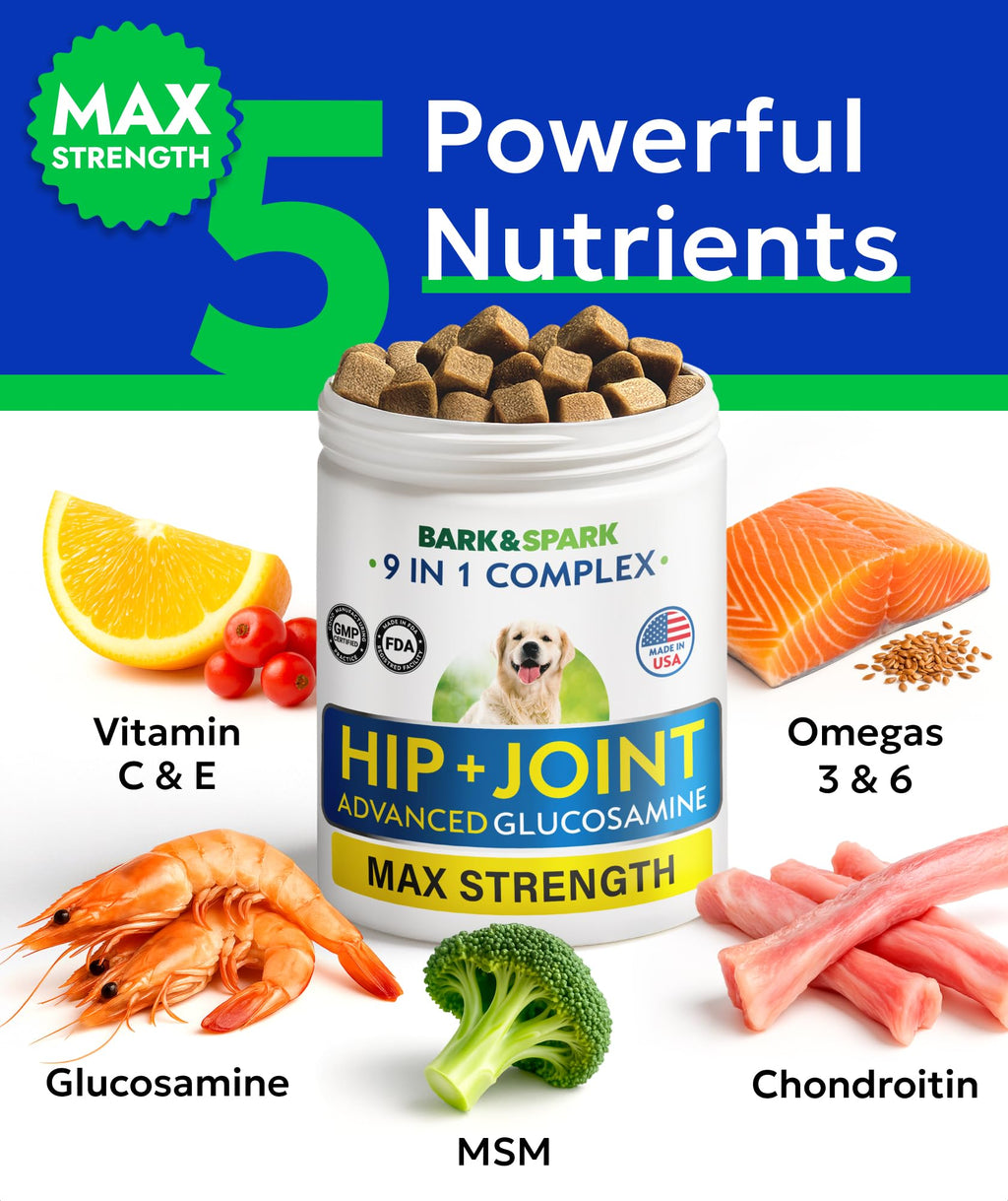 Glucosamine Chondroitin Hip Joint Supplement Chew A995275