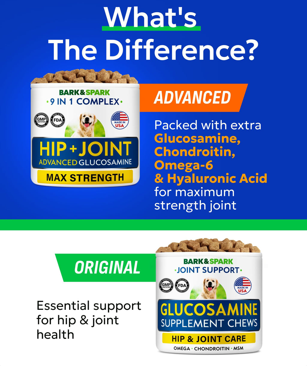 Glucosamine Chondroitin Hip Joint Supplement Chew A995275