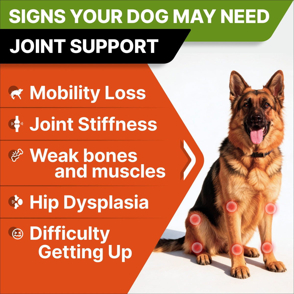Glucosamine Chondroitin Joint Support W645
