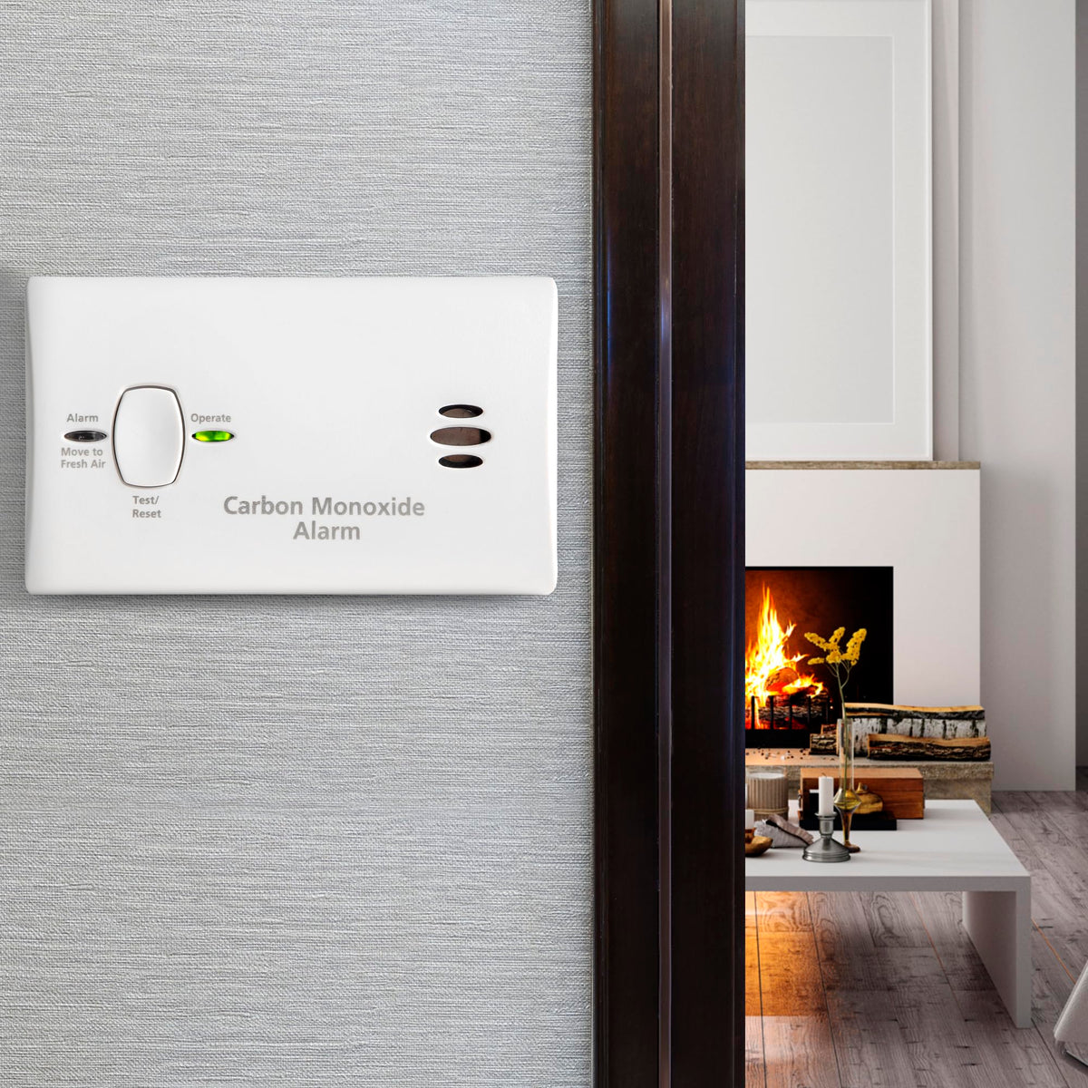 Carbon Monoxide Detector, AA Battery Powered, 85 dB Alarm S2455