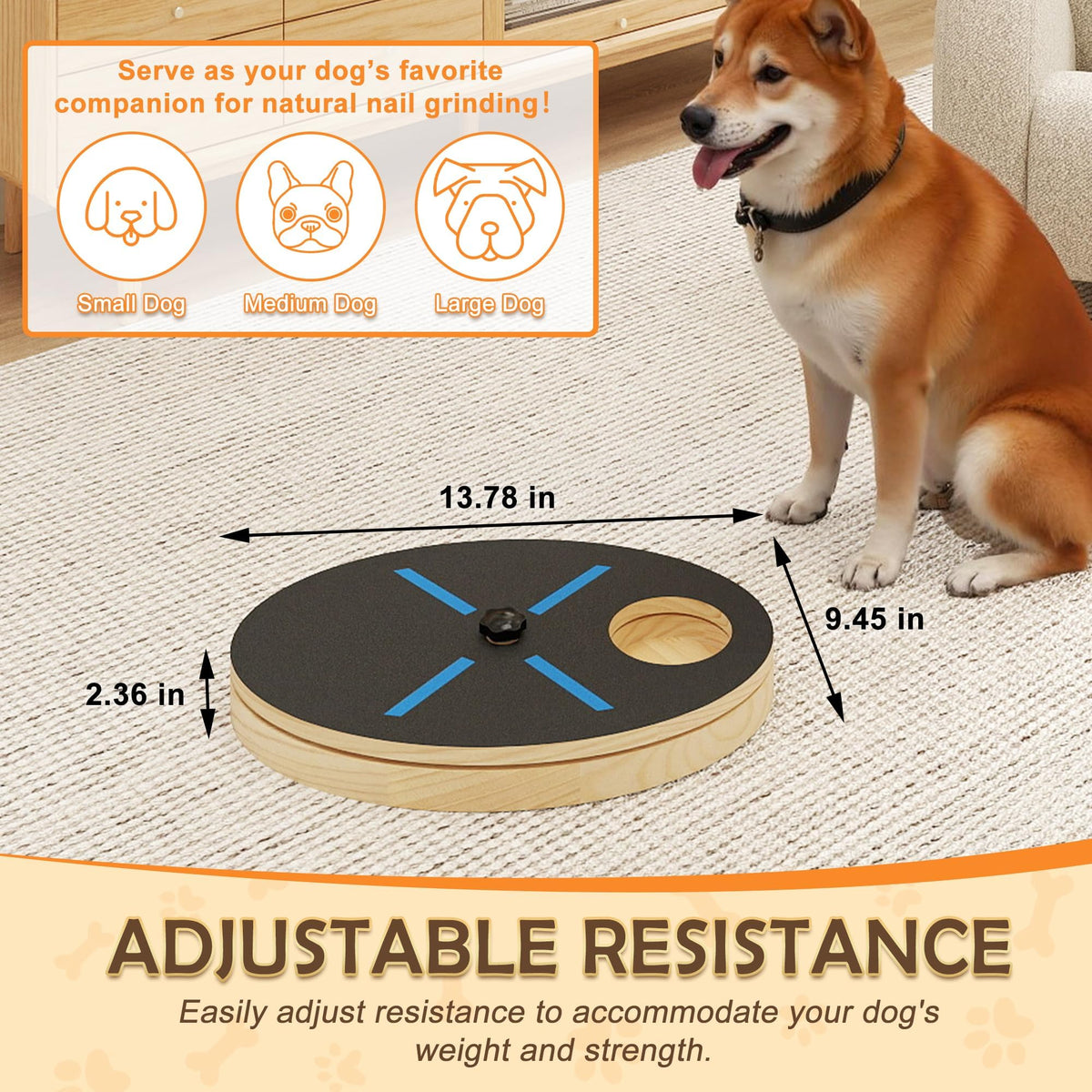 Dog Nail Scratcher Board with Treat Box F904174