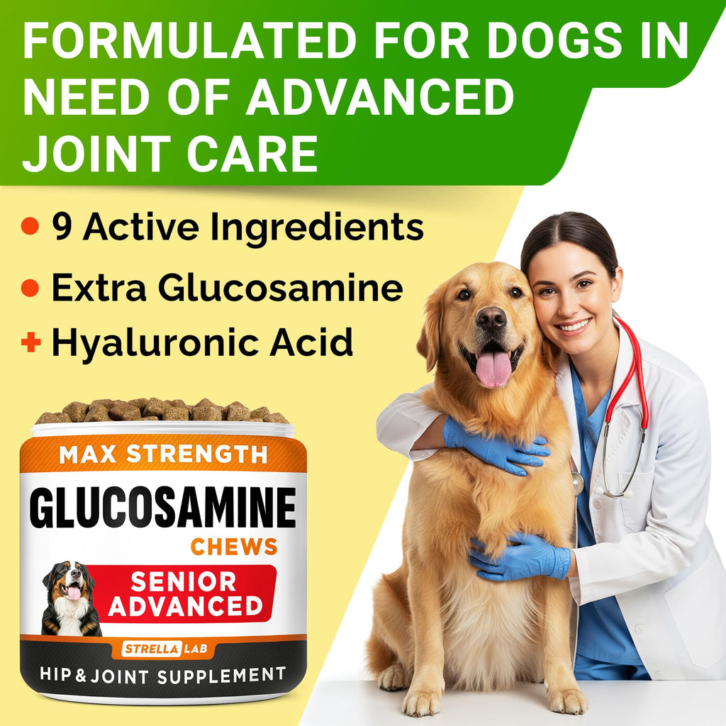 Glucosamine Chondroitin Joint Support W645