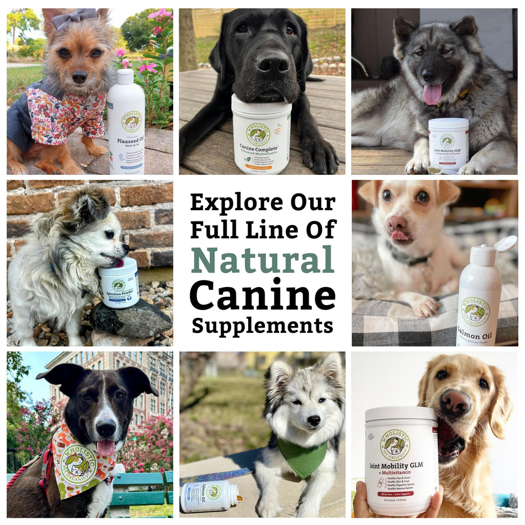 Organic Dog Vitamins, 1 Lb, 45 Scoops C87458